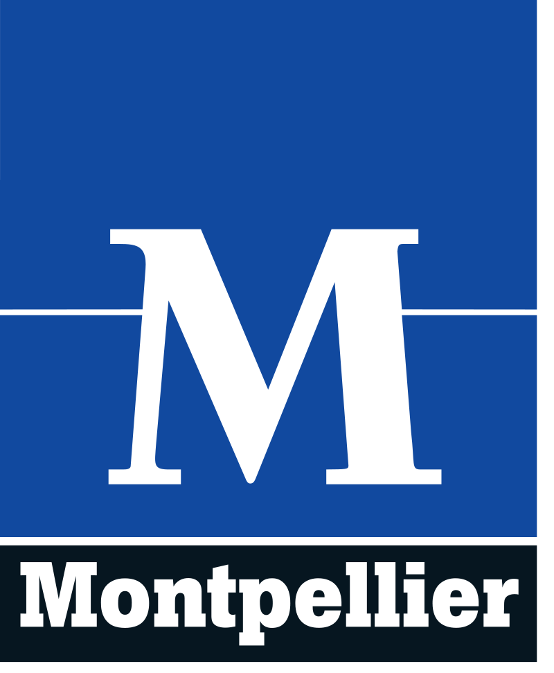 Location Château gonflable a Montpellier